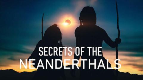 مشاهدة فيلم Secrets of the Neanderthals 2024 مترجم كامل ايجي بست